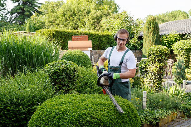 Best Sod Installation  in Fort Myers, FL